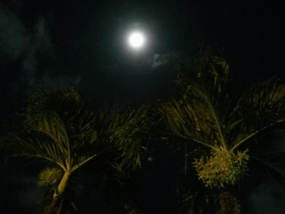 Hotel Malinche Quepos Dış mekan fotoğraf